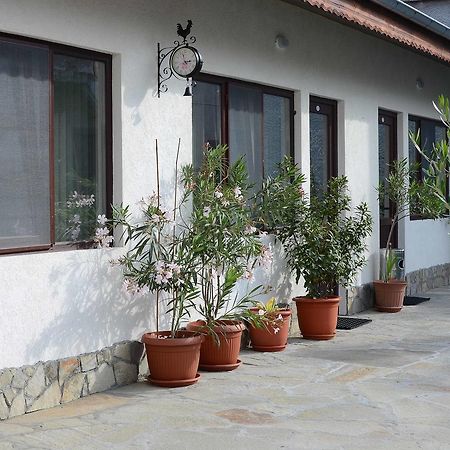 Guest House Dar Tryavna Extérieur photo